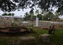 Set Up- The Maya Corn Garden Prepped for Planting